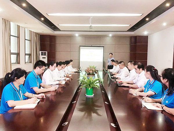 草莓视频网站電子-培訓會議